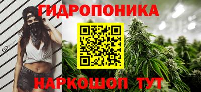 молекула духа Бийск