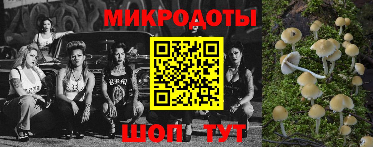 Псилоцибиновые грибы мухоморы Изобильный