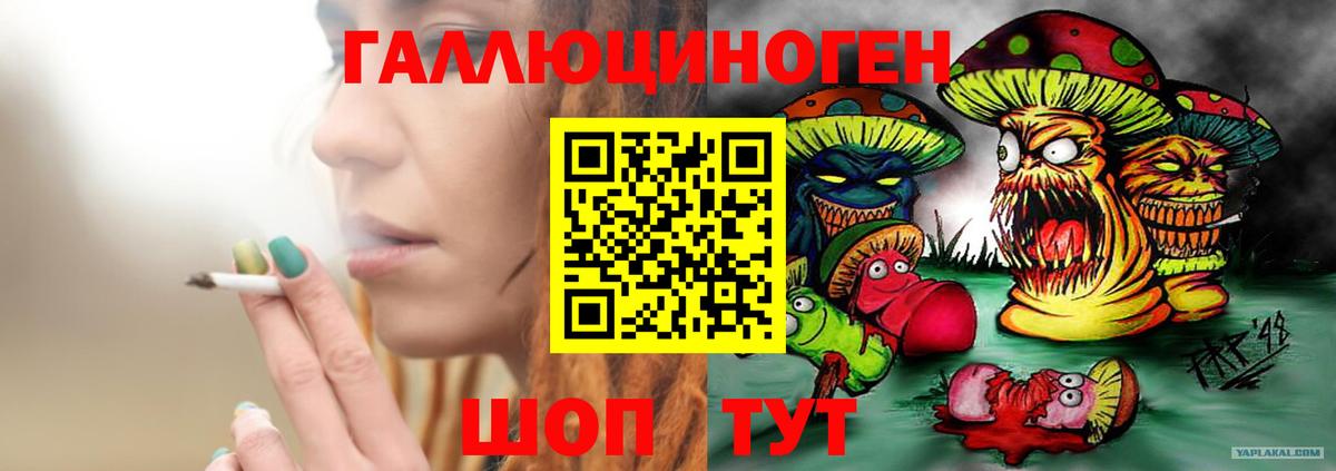 Изобильный  Галлюциногенные грибы Psilocybe  Вход с VPN 